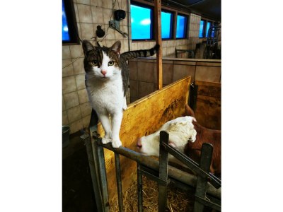 Holiday room Doppelzimmer, Dusche, WC, 1 Schlafraum - Outdoor photo 32