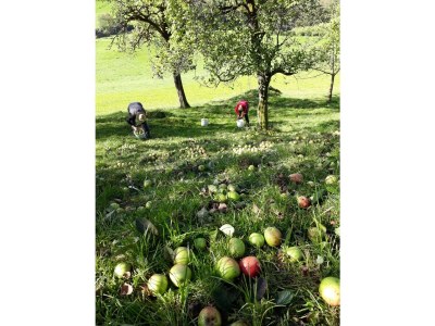 Apartment Ferienhaus,5 Schlafräume - Outdoor photo 66