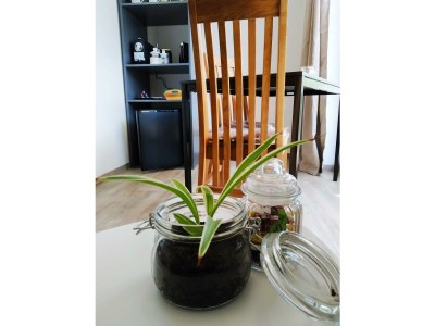 Apartment Appartement/Fewo, Bad, WC, Wohn-/Schlafraum - Features photo 16