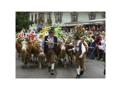 Apartment Appartement "Kaiser" - Outdoor photo 7