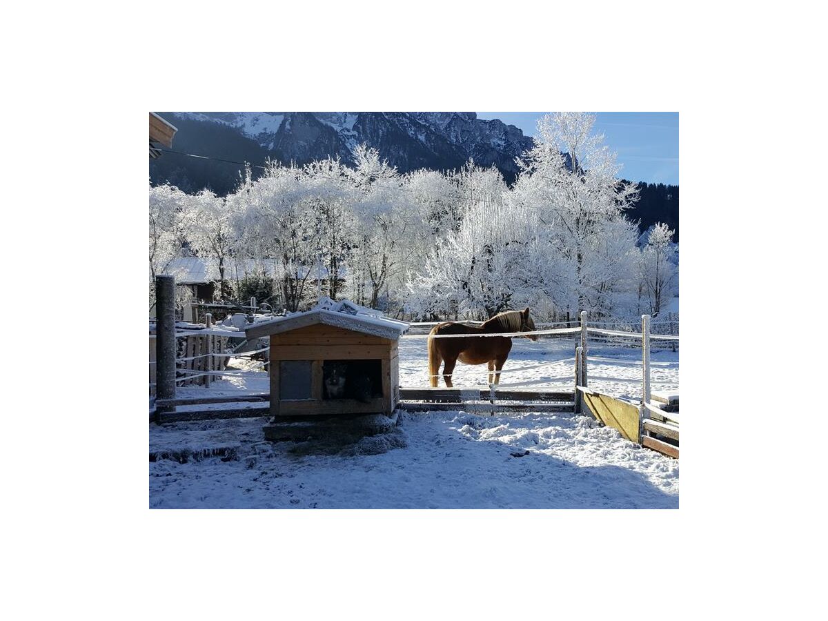 Apartment Ap. Miesberg/Wohn-Schlafraum/Dusche, WC - Outdoor photo 2