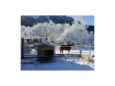 Apartment Ap. Miesberg/Wohn-Schlafraum/Dusche, WC - Outdoor photo 2