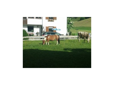 Apartment Ap. Miesberg/Wohn-Schlafraum/Dusche, WC - Outdoor photo 12