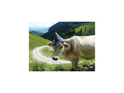 Apartment Ap. Miesberg/Wohn-Schlafraum/Dusche, WC - Outdoor photo 16