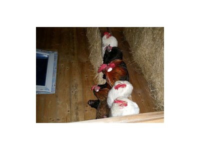 Apartment Ap. Miesberg/Wohn-Schlafraum/Dusche, WC - Outdoor photo 19