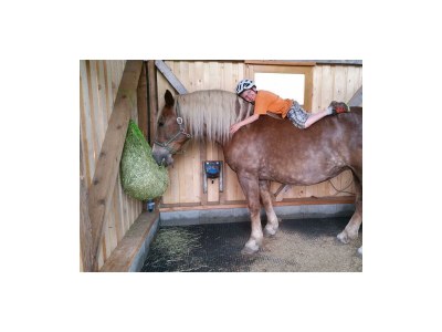 Apartment Ap. Zahmer Kaiser/1 Schlafraum/Dusche,WC - Outdoor photo 17