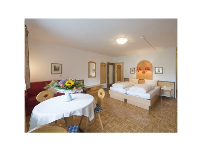 Apartment Ap.TypII"Naturblick" -Wohn-Schlafraum/DU,WC,TV - Features photo 12