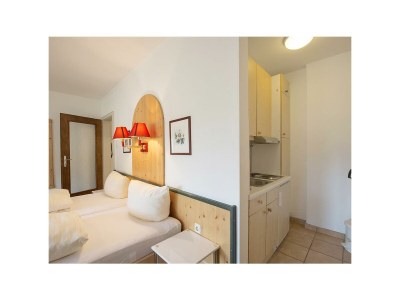 Apartment Ap.TypII"Naturblick" -Wohn-Schlafraum/DU,WC,TV - Features photo 13