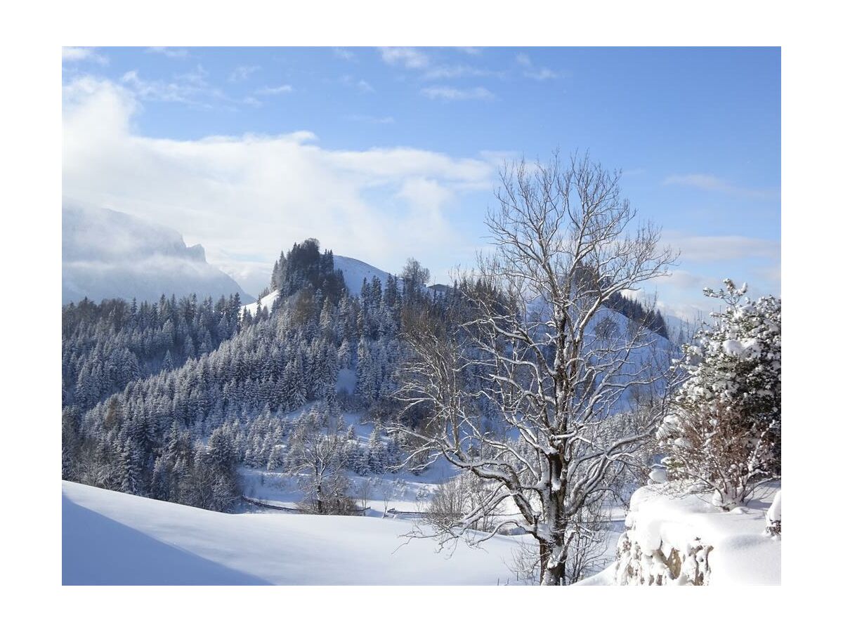 Apartment Apartment/2 Schlafräume/Dusche, WC - Outdoor photo 4