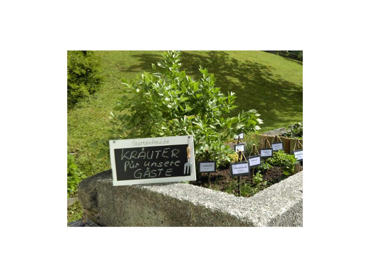 Apartment Ferienwohnung "Morgenrot" (70 qm)