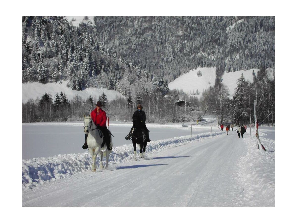 Apartment Ferienwohnung "Morgenrot" (70 qm) - Outdoor photo 4