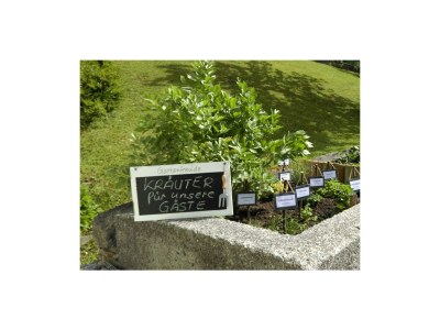 Apartment Ferienwohnung "Morgenrot" (70 qm) in Walchsee - Apartment