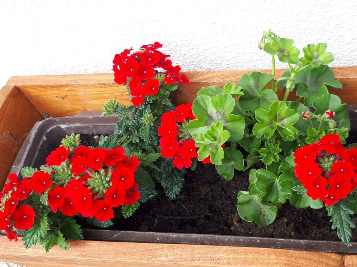 Holiday room Doppelzimmer "Kaiserwinkl 2" - Outdoor photo 3