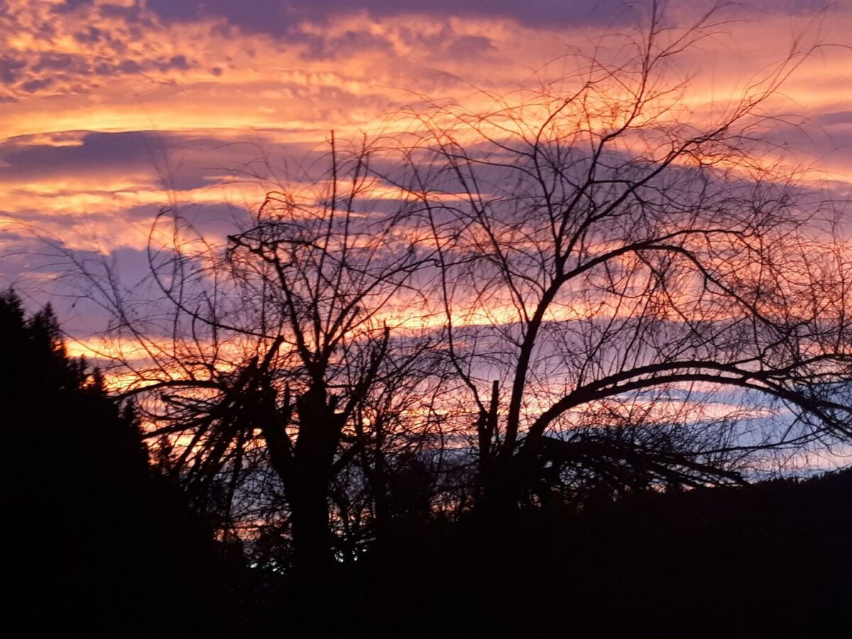 Holiday room Doppelzimmer "Kaiserwinkl 2" - Outdoor photo 4