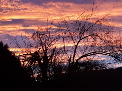 Holiday room Doppelzimmer "Kaiserwinkl 2" - Outdoor photo 4