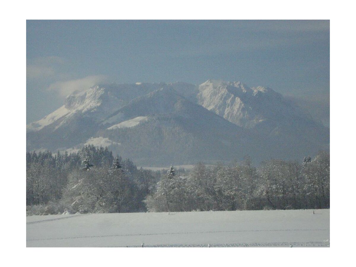 Apartment Apartment/1 Schlafraum/DU/WC,TV,Mikro,Ba