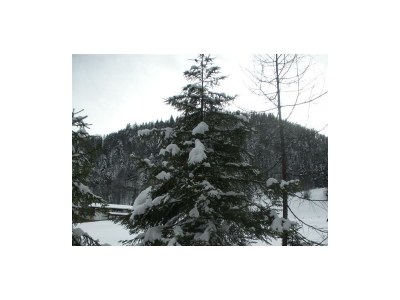 Apartment Apartment/1 Schlafraum/DU/WC,TV,Mikro,Ba - Outdoor photo 2