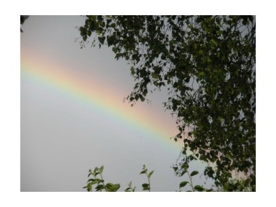 Apartment Apartment/1 Schlafraum/DU/WC,TV,Mikro,Ba - Outdoor photo 8