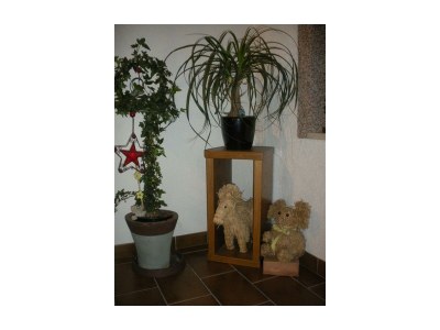 Apartment Apartment/1 Schlafraum/DU/WC,TV,Mikro,Ba - Features photo 11