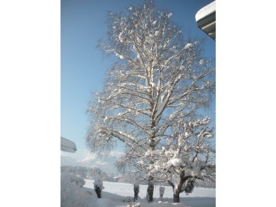 Apartment Apartment/1 Schlafraum/DU/WC,TV,Mikro,Ba - Features photo 22