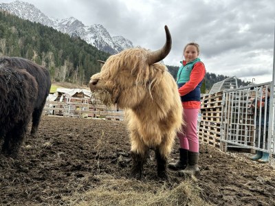 Holiday room Doppelzimmer, Dusche und Bad, WC, Bergseite - Outdoor photo 20