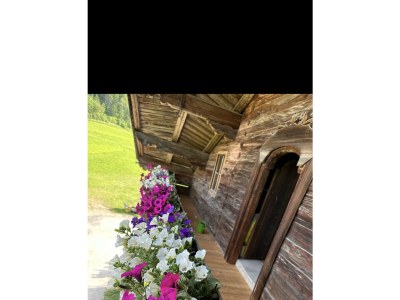 Apartment Apartm."1"/Wohn-Schlafraum/Dusche, WC - Outdoor photo 14