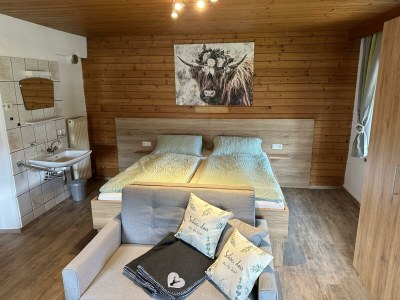 Apartment Apartm."2"/Wohn-Schlafraum/Dusche, WC in Walchsee - Apartment