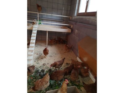 Holiday apartment No title - Outdoor photo 3