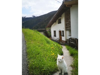 Holiday apartment No title - Outdoor photo 6