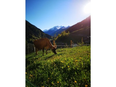 Holiday apartment No title - Outdoor photo 7