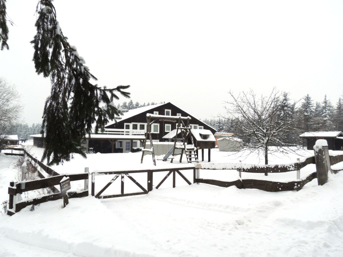 Holiday apartment - horse-back riding and vacation park "Tannenhof" - Outdoor photo 3