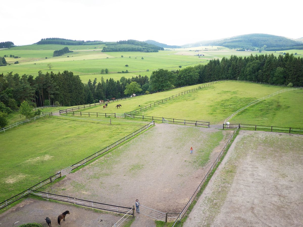 Holiday apartment - horse-back riding and vacation park "Tannenhof" - Outdoor photo 4