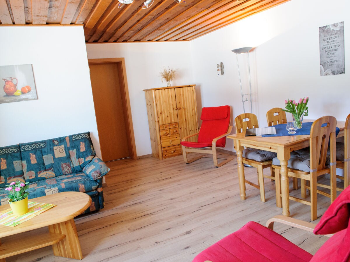 Holiday apartment - horse-back riding and vacation park "Tannenhof" - Features photo 5