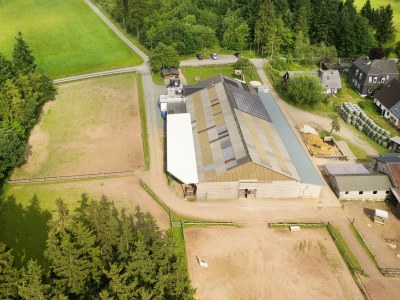 Holiday apartment - horse-back riding and vacation park "Tannenhof" in Korbach - Hillershausen - Holiday apartment