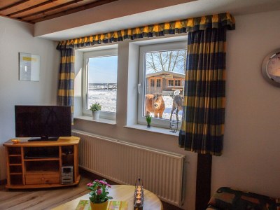 Holiday apartment - horse-back riding and vacation park "Tannenhof" - Features photo 6