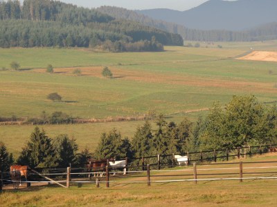 Holiday apartment - horse-back riding and vacation park "Tannenhof" - Environment photo 9