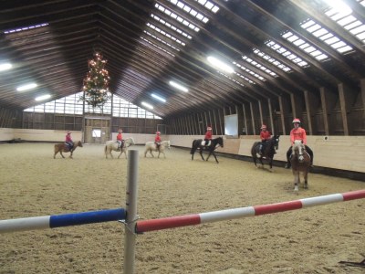 Holiday apartment - horse-back riding and vacation park "Tannenhof" - Environment photo 15