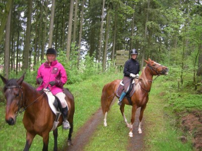 Holiday apartment - horse-back riding and vacation park "Tannenhof" - Environment photo 17