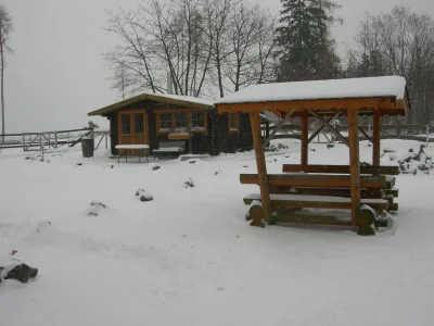 Holiday apartment - horse-back riding and vacation park "Tannenhof" - Environment photo 18