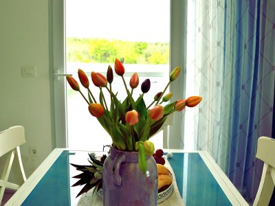 Holiday house Anna - Features photo 40