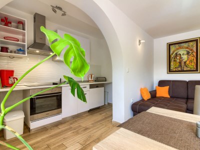 Villa Trusina with pool in Istria - Features photo 21