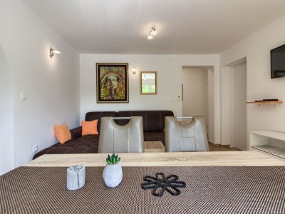 Villa Trusina with pool in Istria - Features photo 22