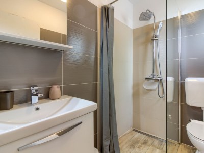 Villa Trusina with pool in Istria - Features photo 35