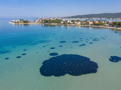 Apartment Penthouse Monaco - Outdoor photo 14