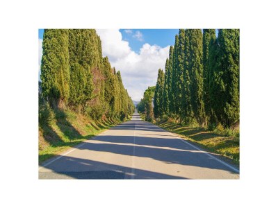 Villa La Melatina - Environment photo 37