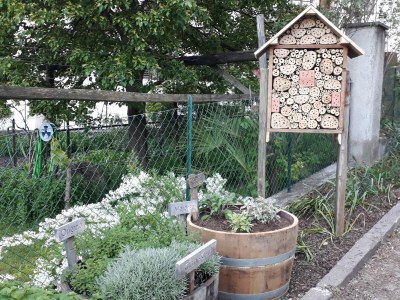 Holiday apartment Ferienwohnung Garten - Outdoor photo 7