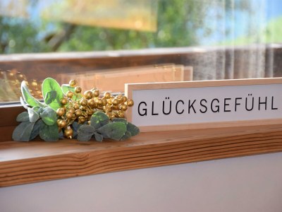 Apartment Alpinloft Goldsun - Features photo 49