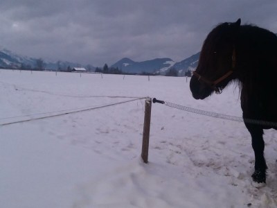 Apartment Appartement mit Balkon - Environment photo 17