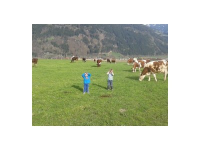 Apartment Appartement mit Balkon - Environment photo 21