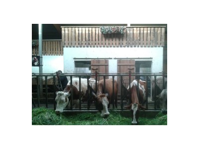 Apartment Appartement mit Balkon - Environment photo 28